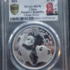 China 10 Yuan 2021 Panda