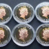 Fiji 1 Dollar 2010 Mundial Africa Sul (10 moedas) - Image 3