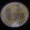 Portugal 5 Euro 2024 O Conhecimento Desenhar a Moeda - Proof - Image 2