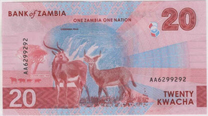 Zâmbia 20 Kwacha 2024 - Image 2